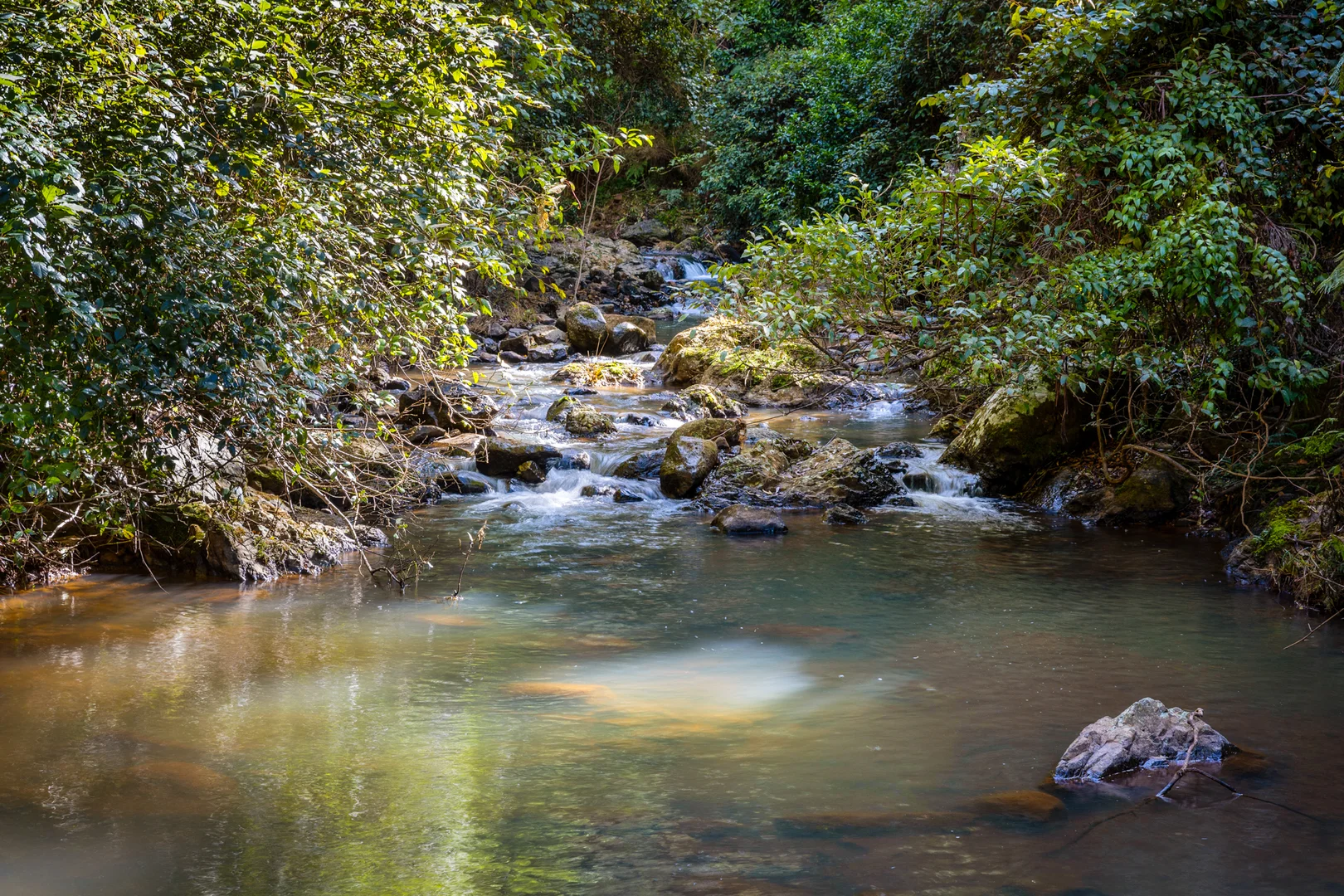 Additional image 14 of 480 Ponsfords Road, Comboyne NSW 2429