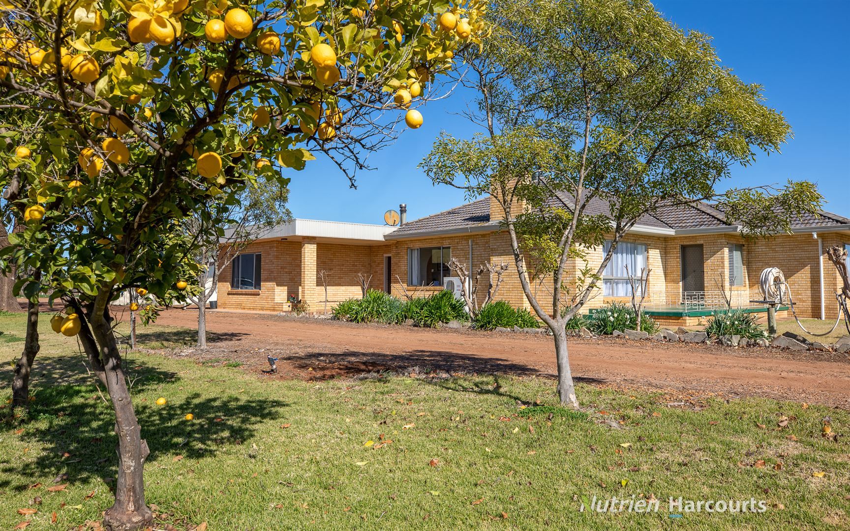 Farm 40 Zandona Road, Yenda NSW 2681, Image 2