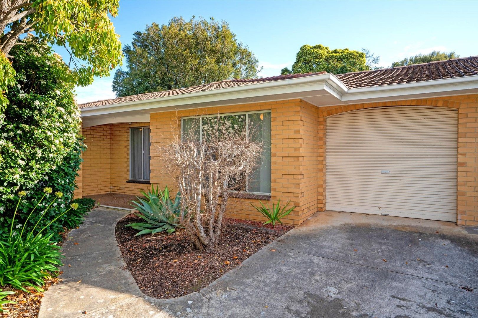 3/36 Gothic Road, Bellevue Heights SA 5050, Image 0