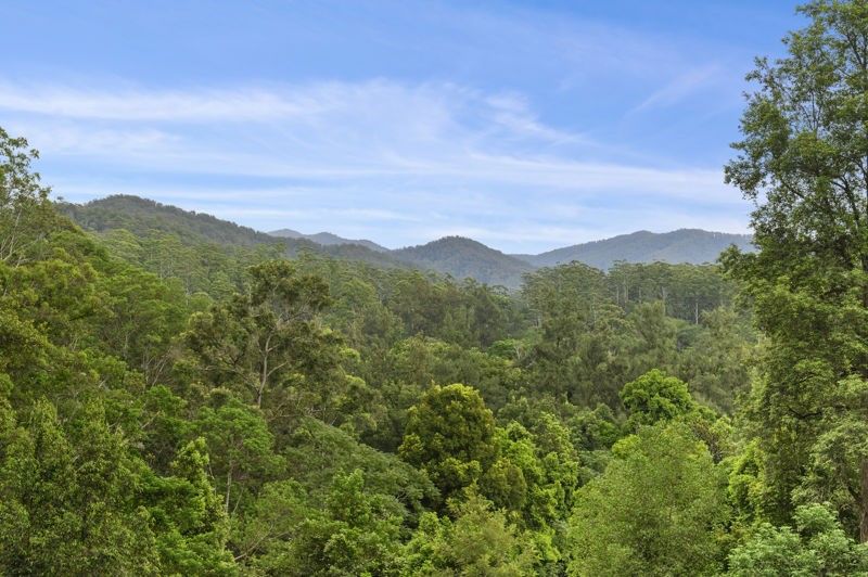 1772 Kalang Road, Bellingen NSW 2454, Image 2