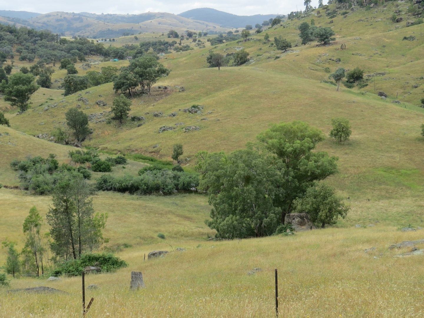 Lot 144 Tarrants Gap Road, Wyangala NSW 2808, Image 0