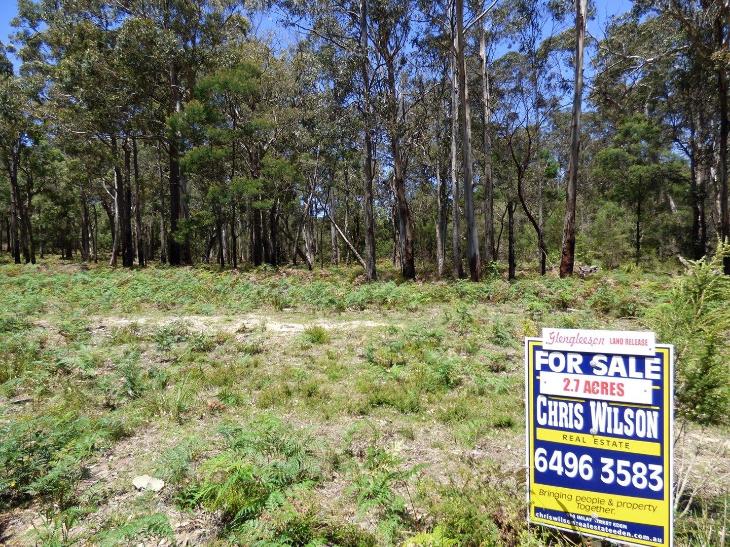 Proposed LOT A Gleeson Road Wonboyn Via, Eden NSW 2551, Image 0