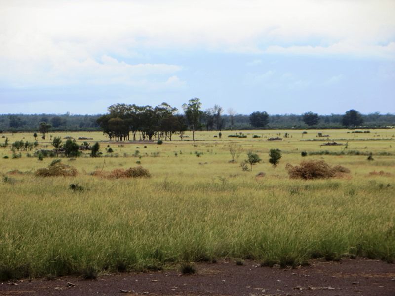 1958 ACRES GRAZING, Tara QLD 4421, Image 2