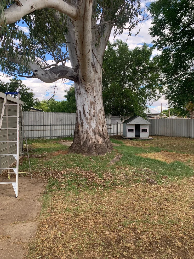 Additional image 12 of Mount Austin NSW 2650