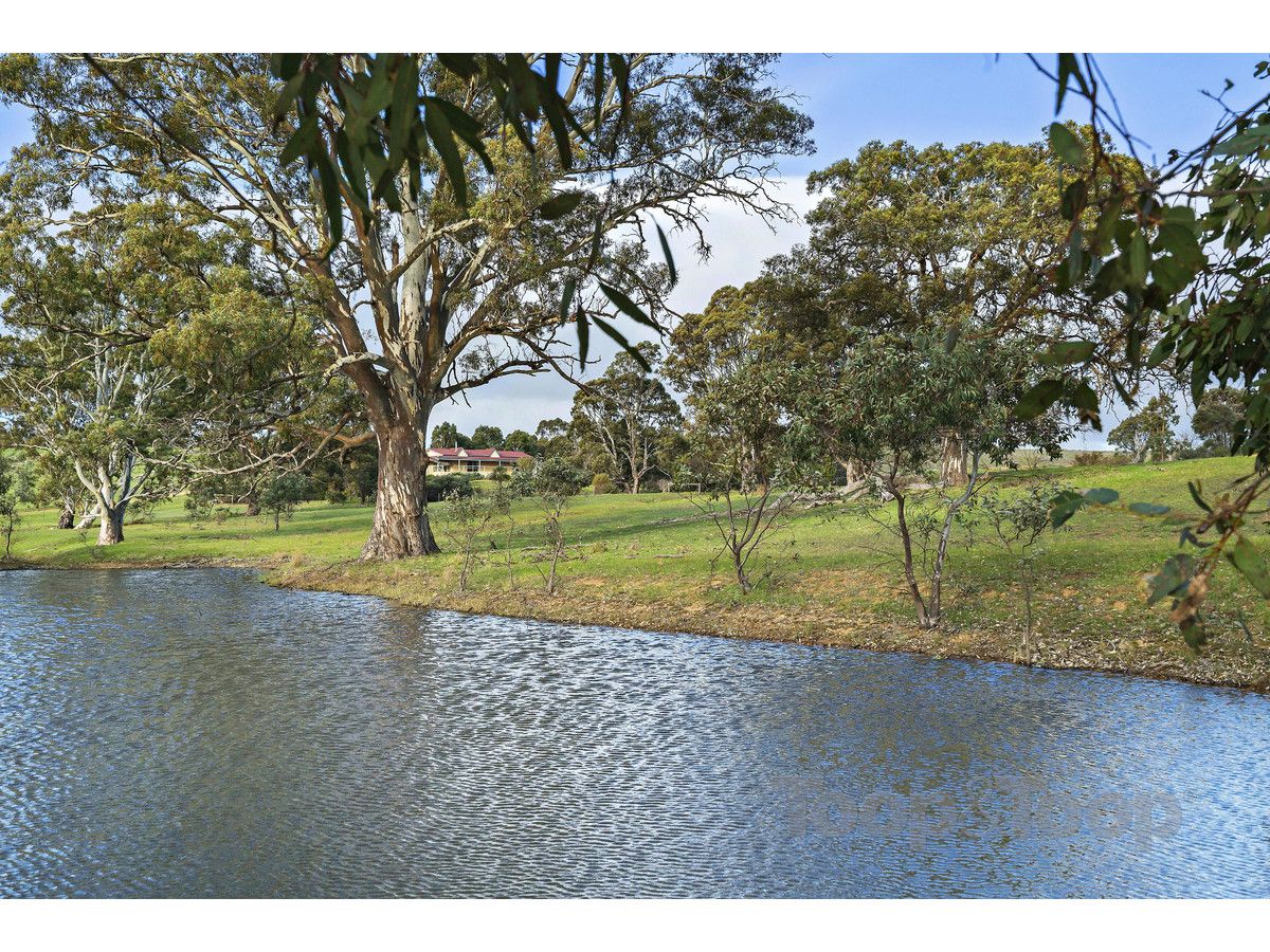 288 Strachans Road, Springton SA 5235, Image 2