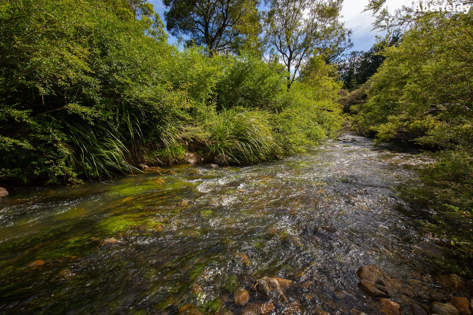 Image 26