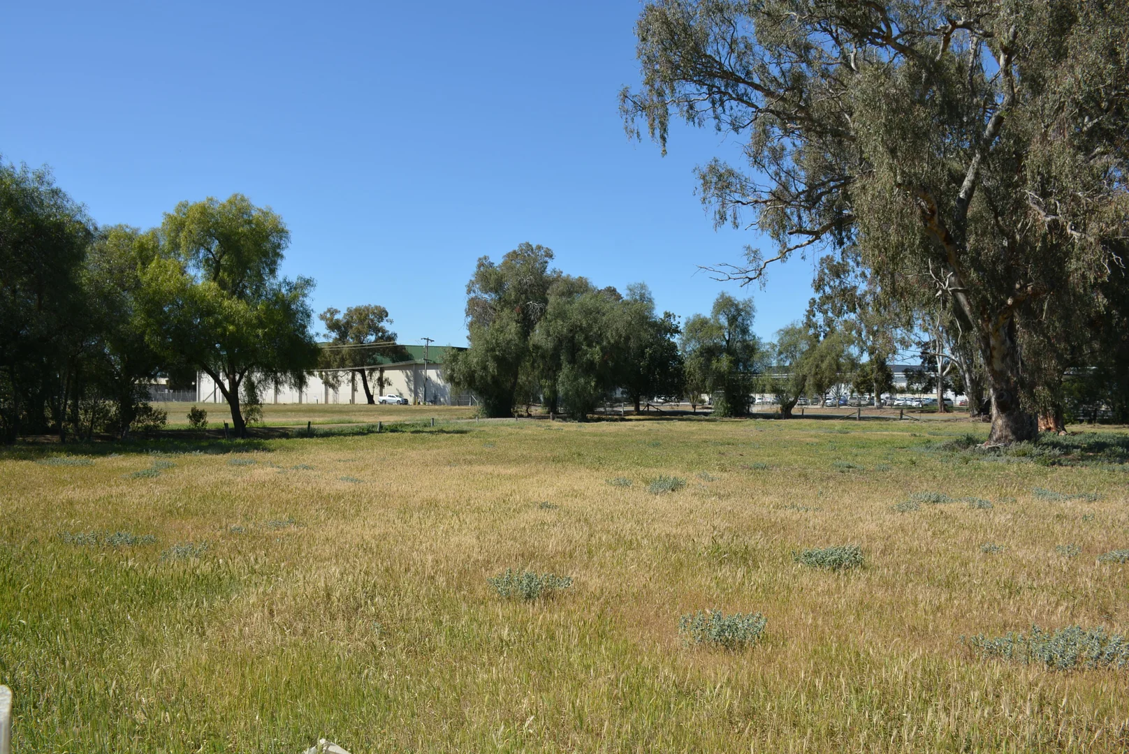Image 18