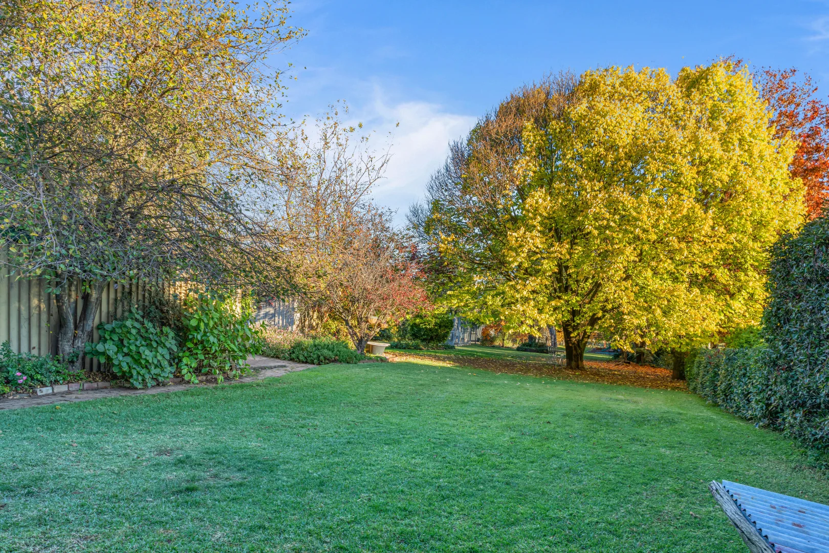 Image 23