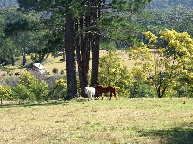 Lot 16 The River Road, BROOMAN NSW 2538, Image 0