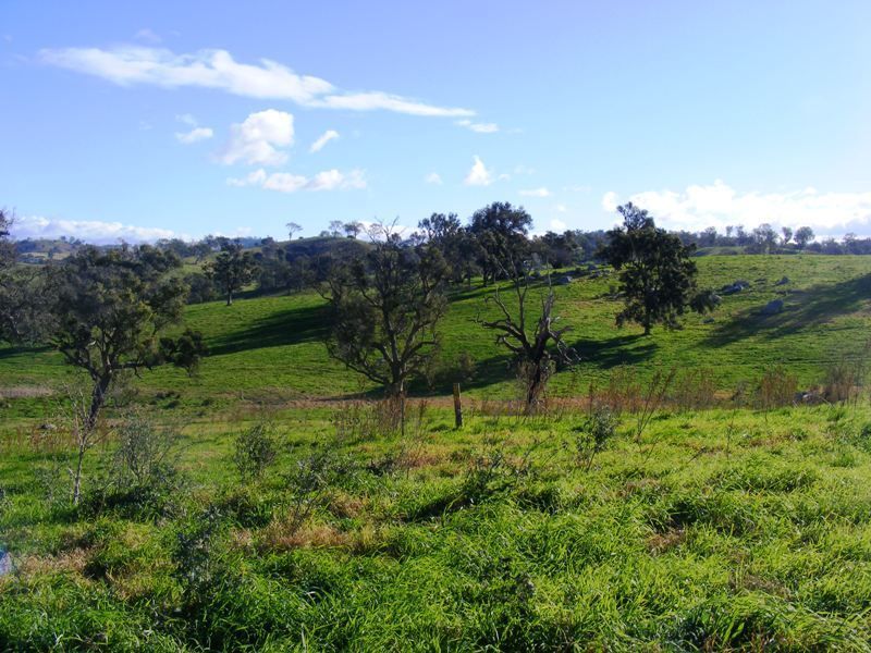 Lot 1 Herganhan's Lane, ANGLEDALE NSW 2550, Image 2