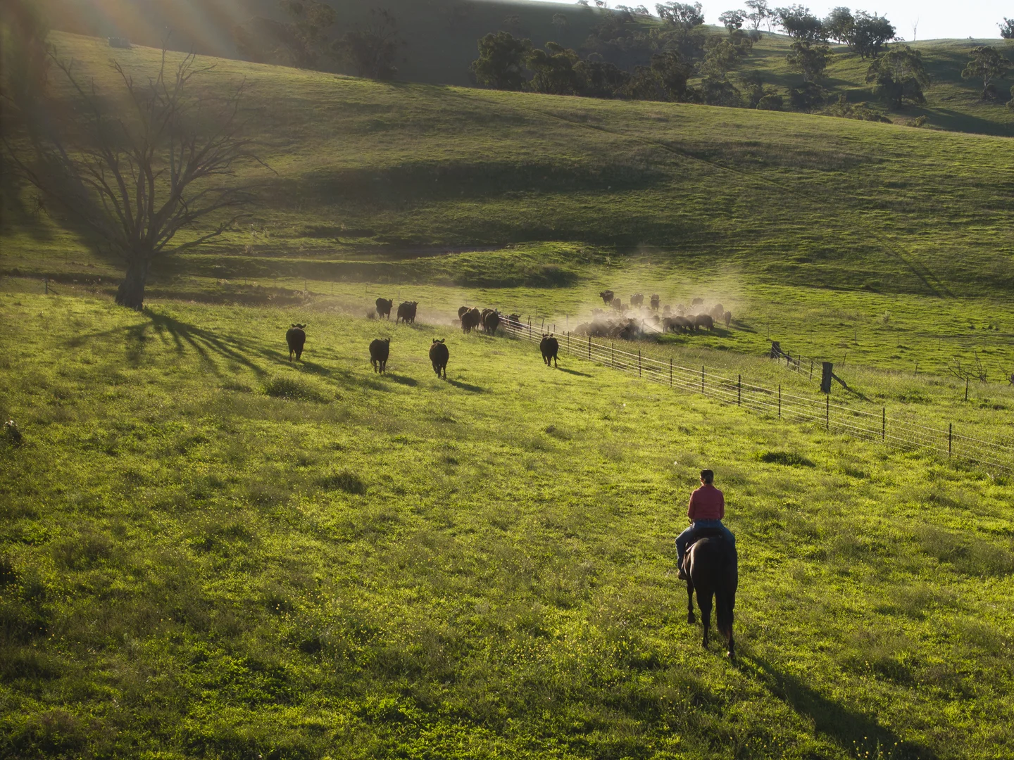 Additional image 20 of Tarana NSW 2787