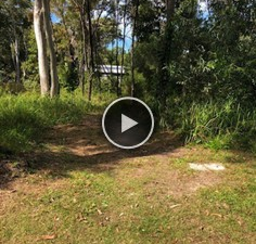 Picture of 6 Dinjerra Street, MACLEAY ISLAND QLD 4184