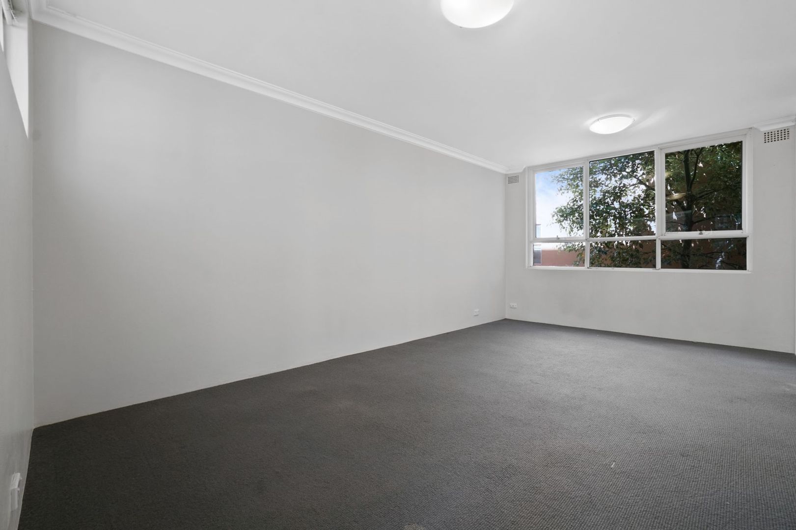 11/411 Glebe Point Road, Glebe NSW 2037 - Studio For Rent - $450 | Domain