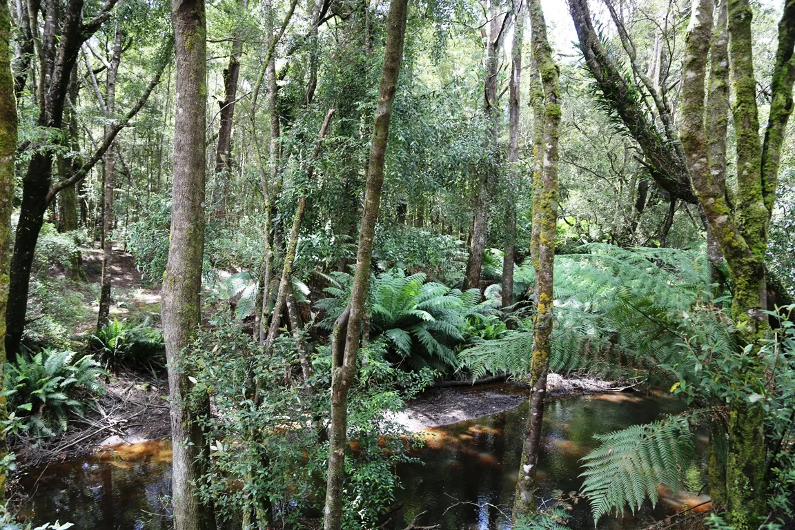 Image 12