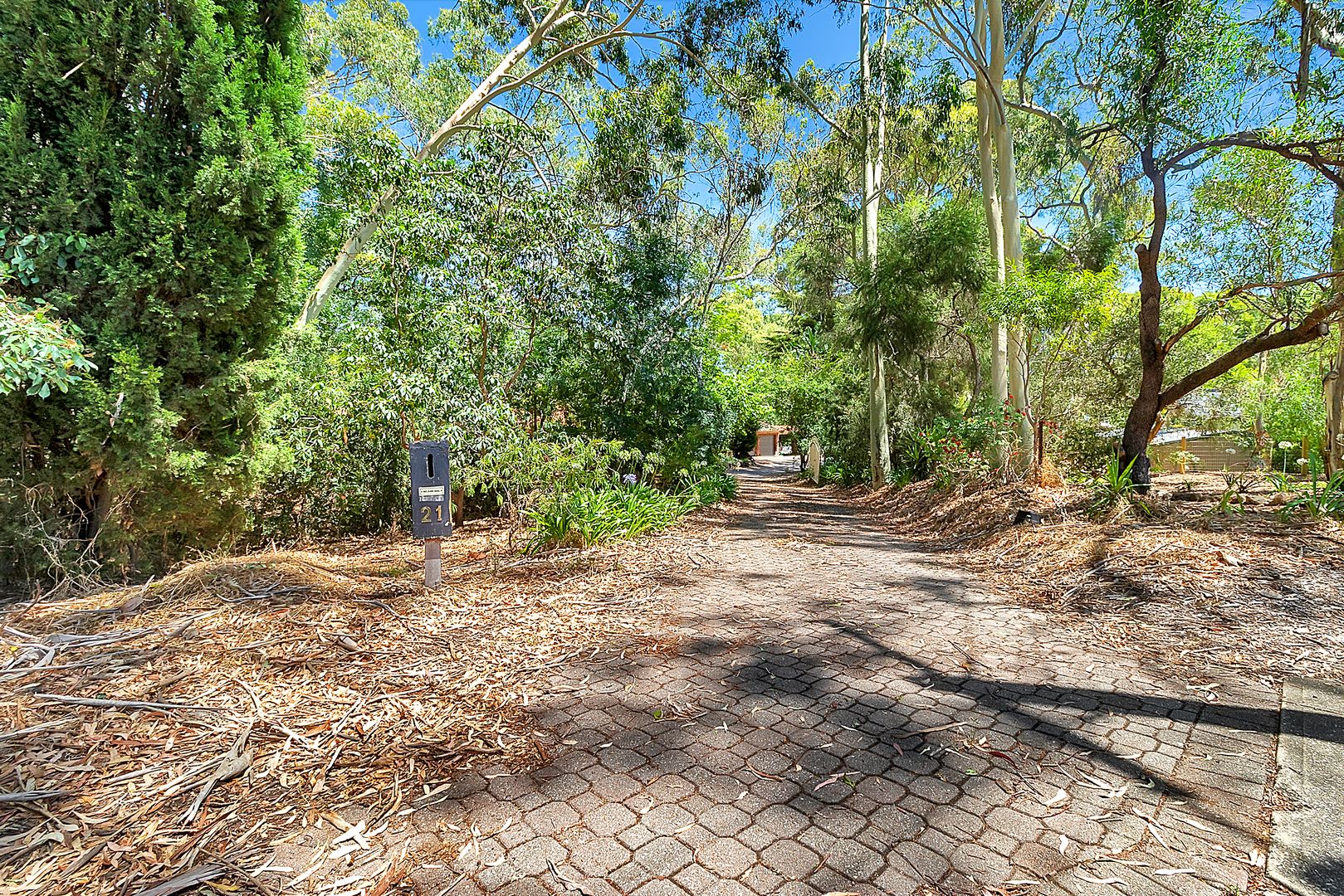 21 Sandalwood Drive, St Agnes SA 5097 Domain