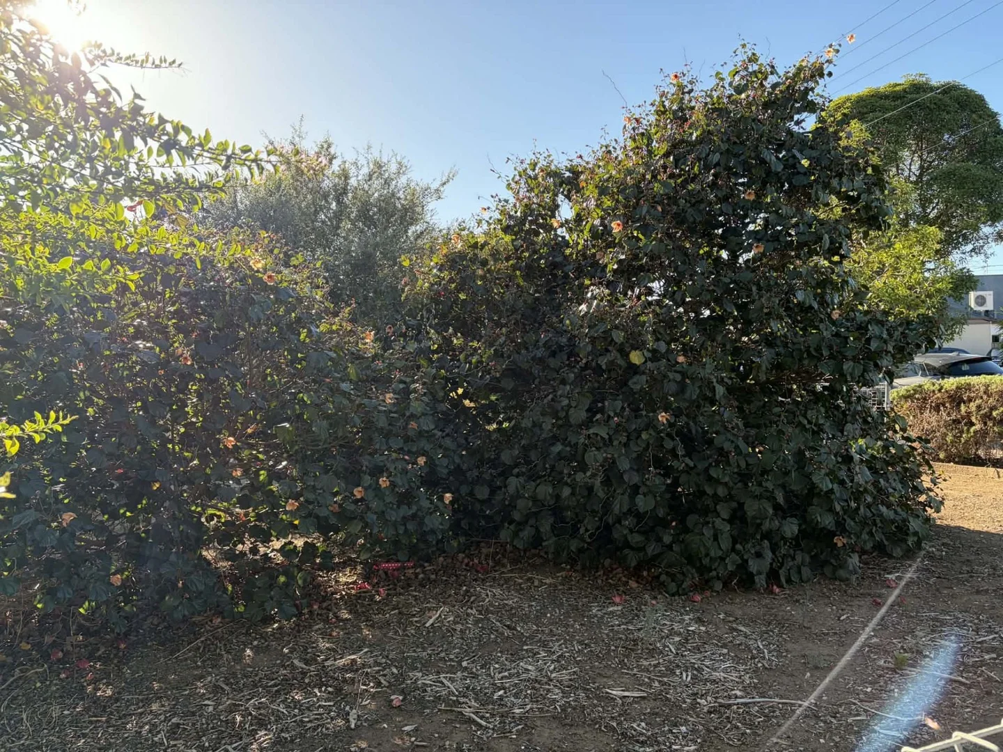 Additional image 11 of 3 Edwards Avenue, Park Holme SA 5043