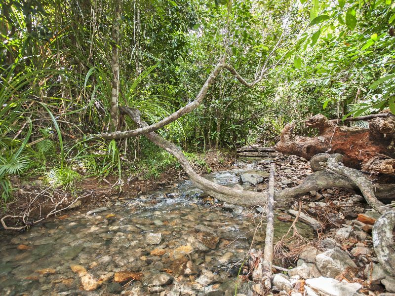 Lot 3 Buttigieg Access, Babinda QLD 4861, Image 1