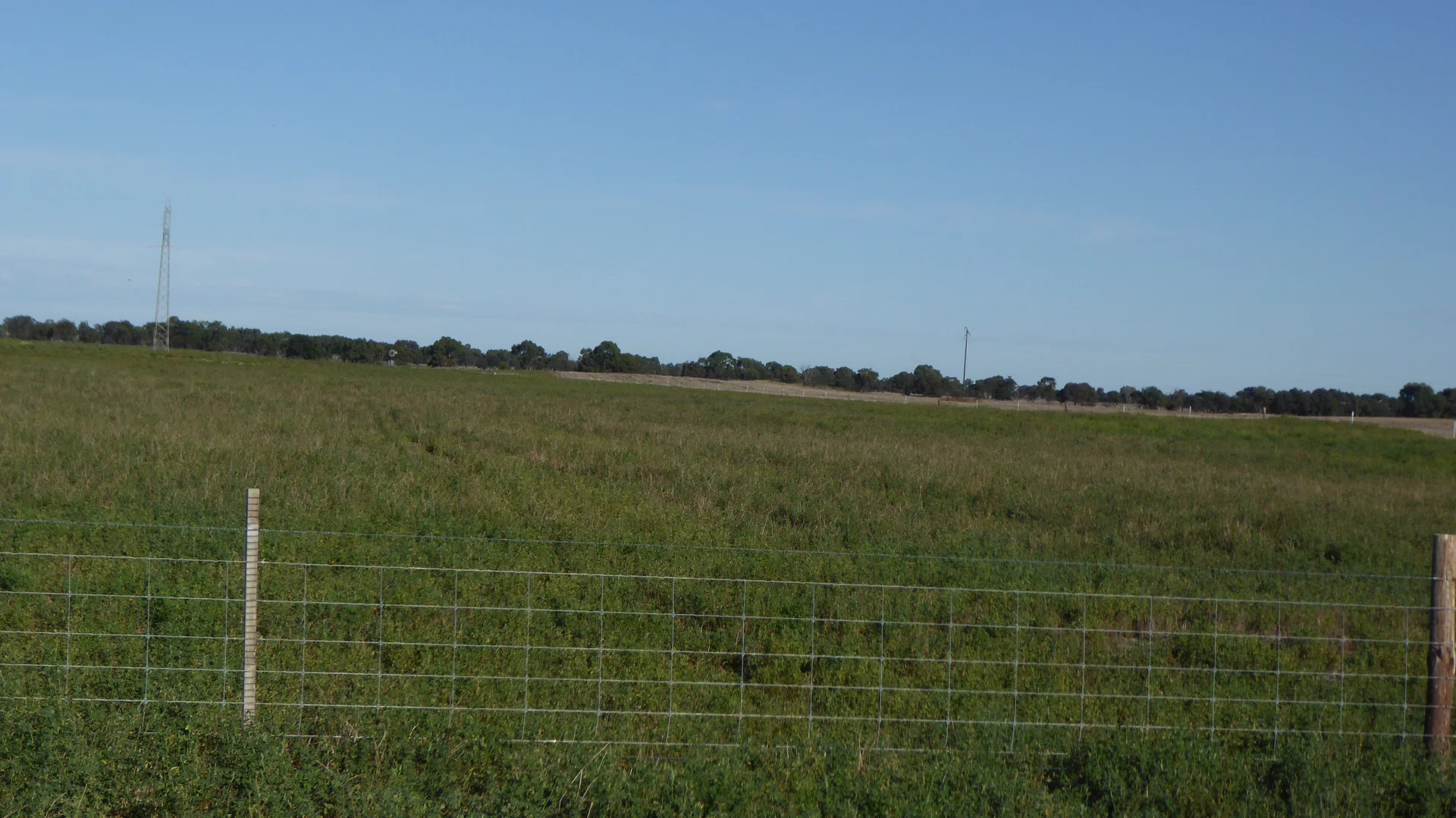 Image 11