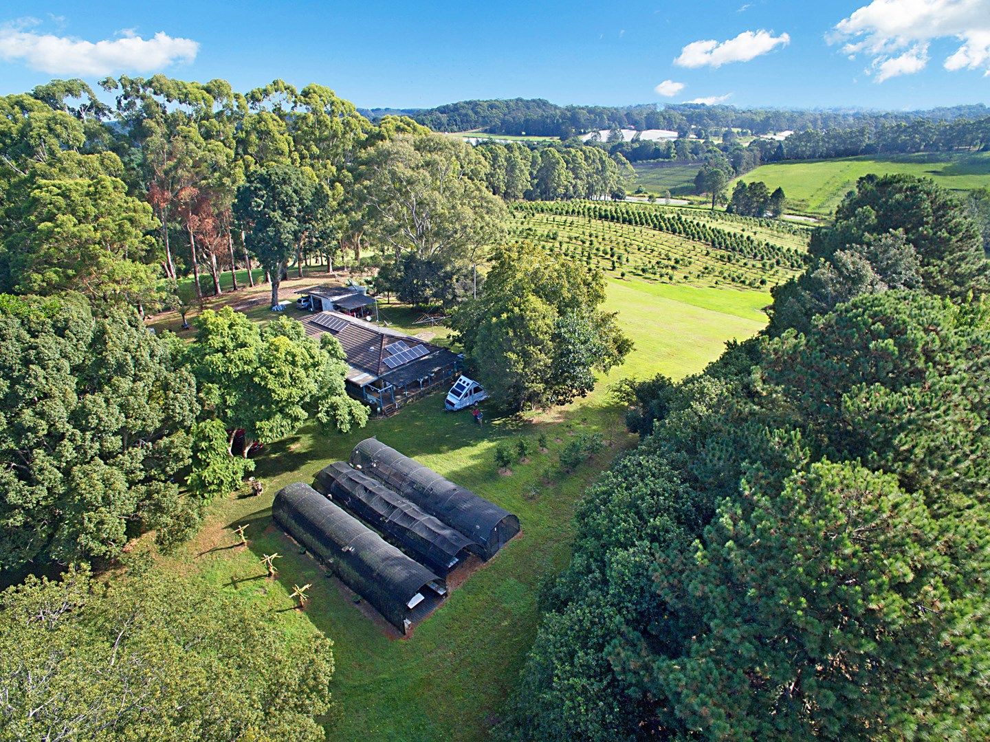 53 McLeans Ridges Road, Wollongbar NSW 2477, Image 0