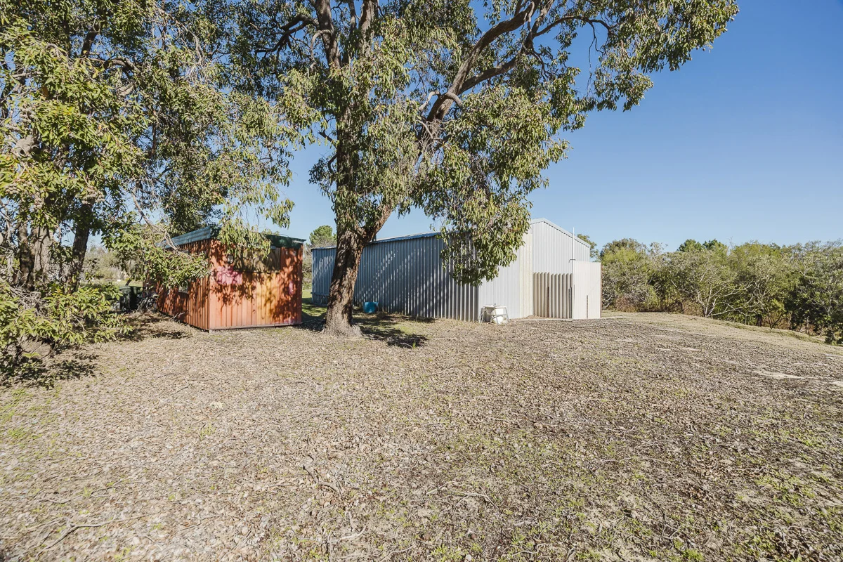 Image 13