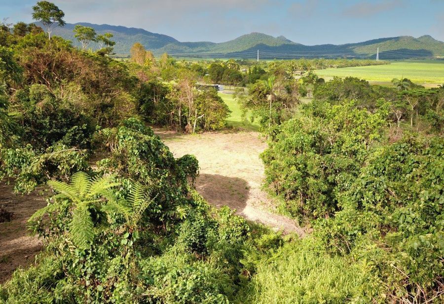 Lot 59 Nelson Road, Babinda QLD 4861, Image 1