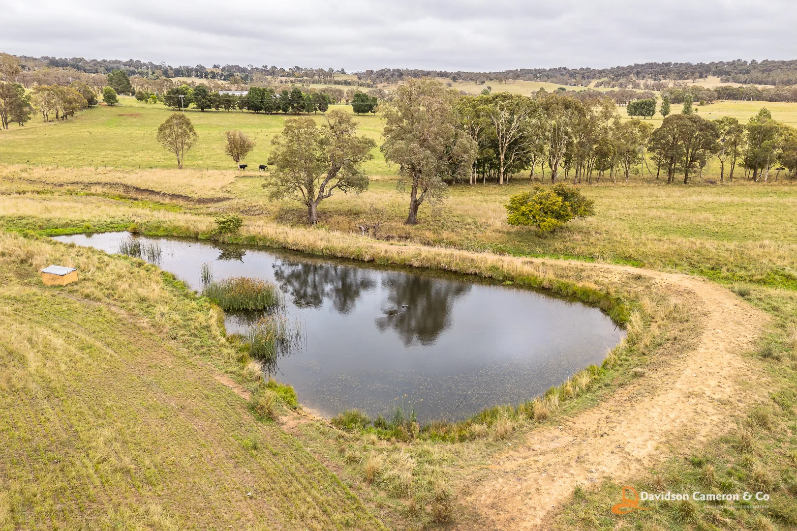 Additional image 12 of "Langleigh" 14503 Thunderbolts Way, Walcha NSW 2354