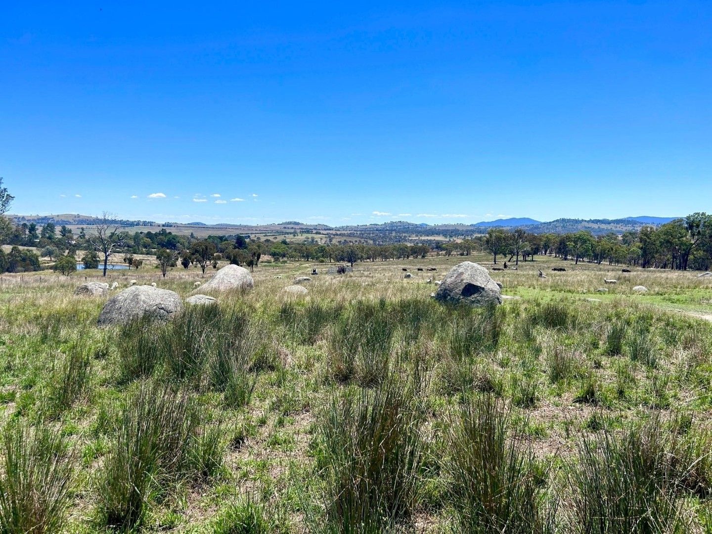 Lot 322 Jenkyn Lane, Uralla NSW 2358, Image 0