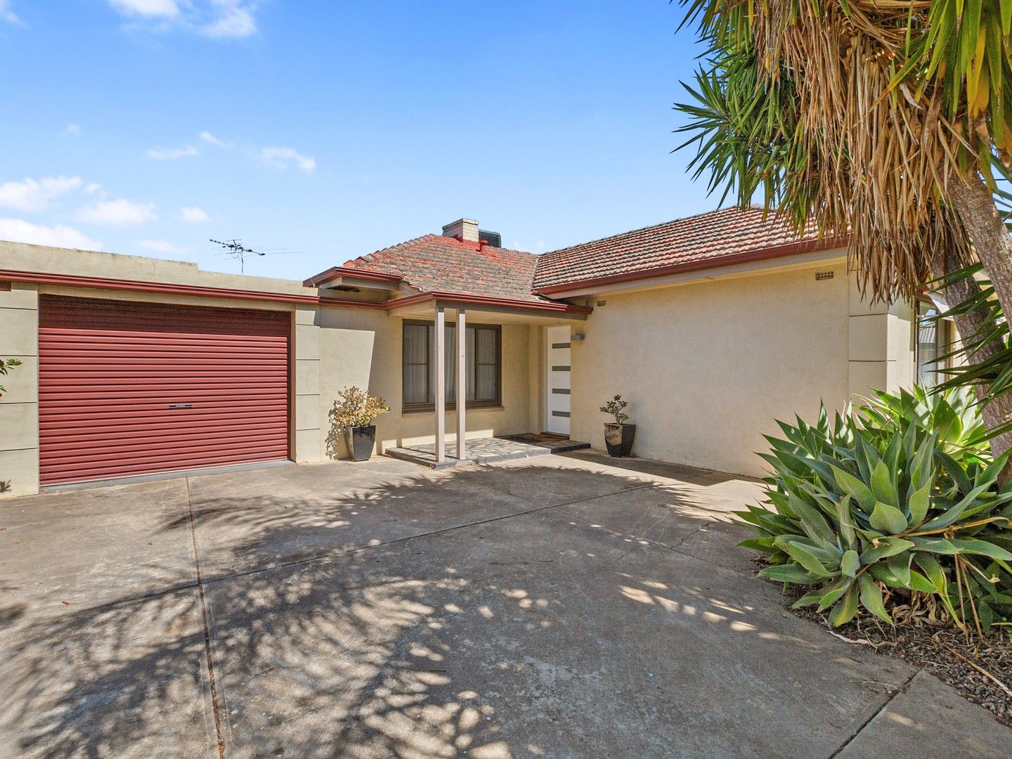 5 Stafford Street, Clearview SA 5085 House For Rent 490 Domain