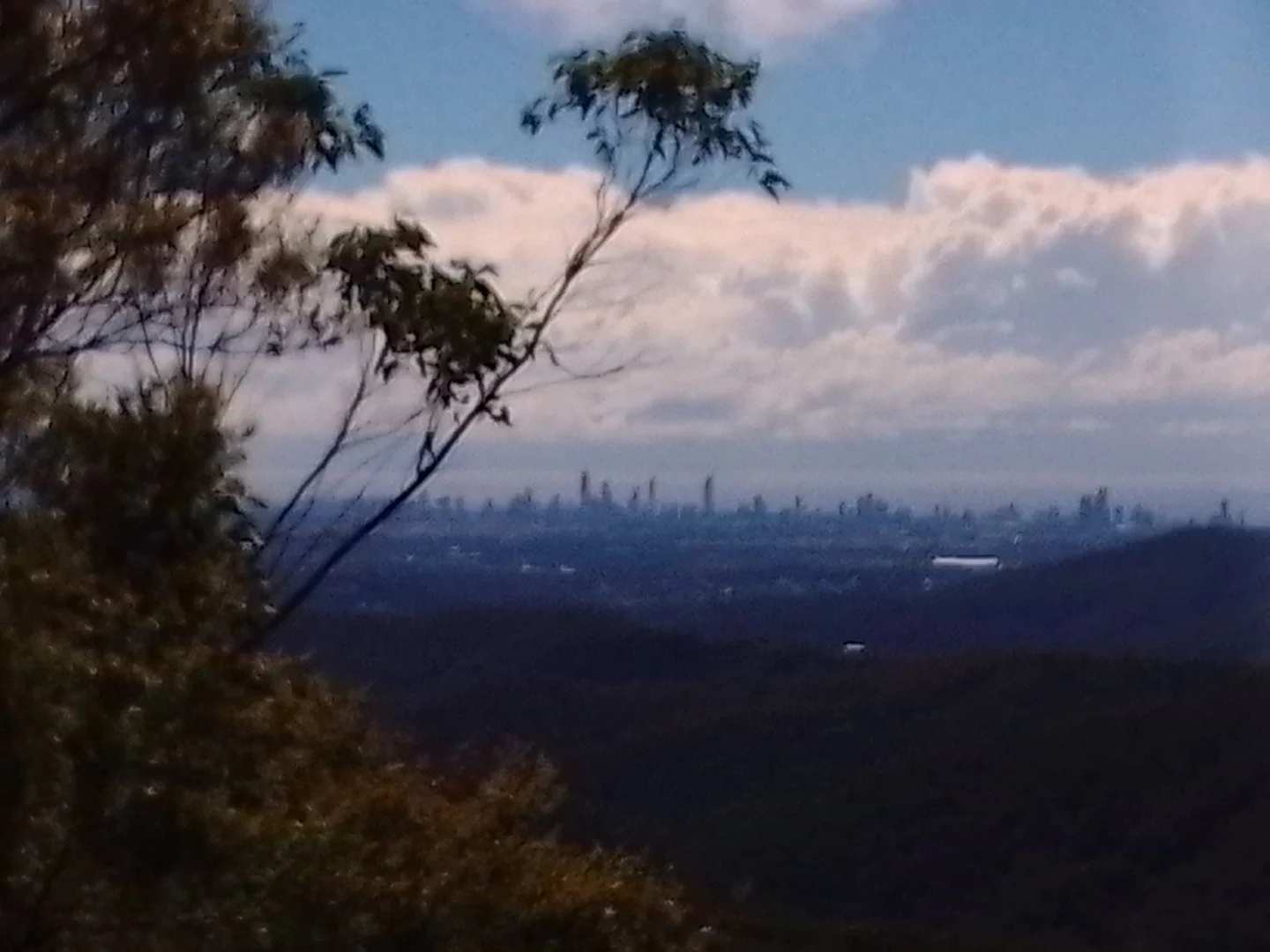 Additional image 5 of 2195 Springbrook Road, Springbrook QLD 4213