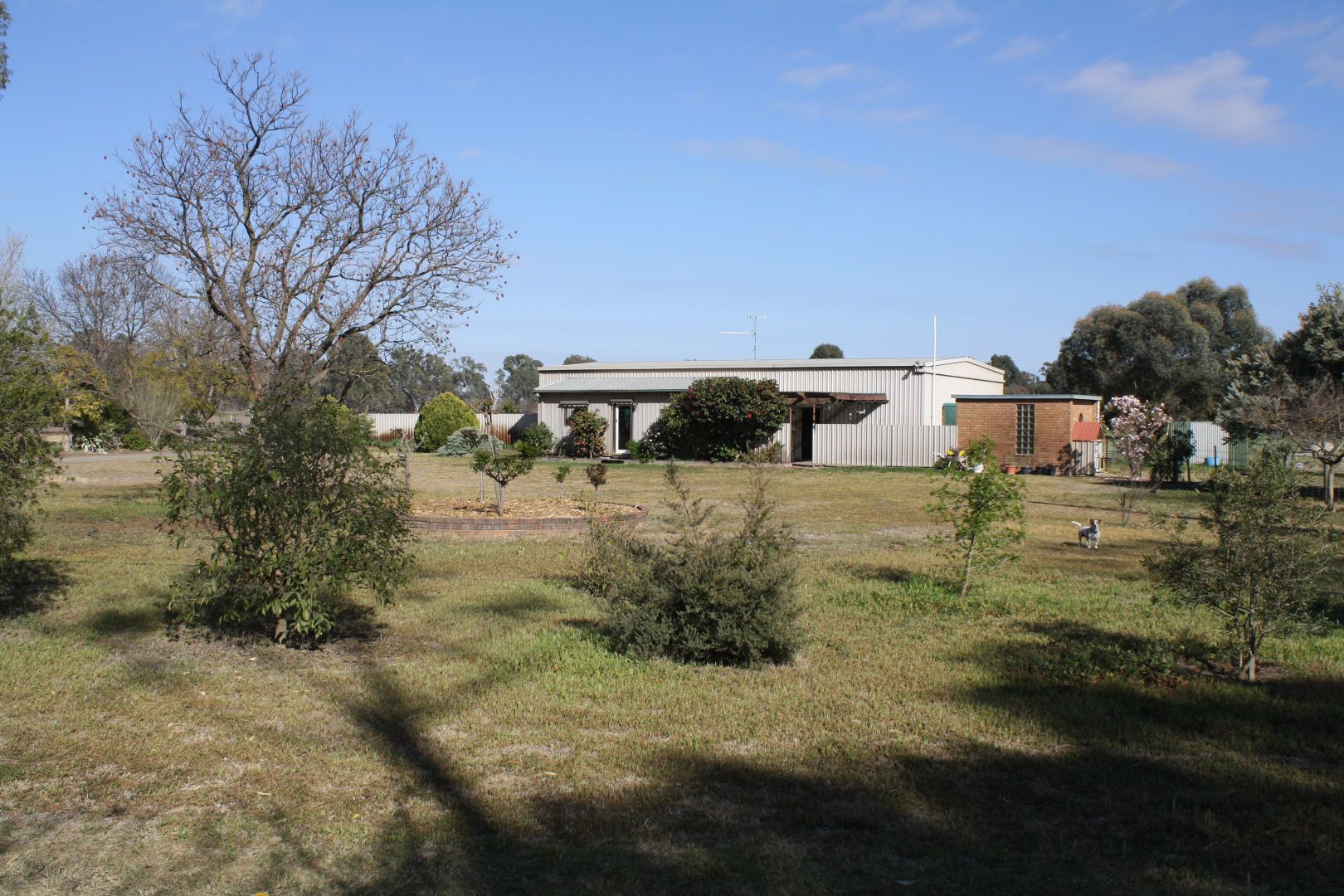 99 Murray Road, Koonoomoo VIC 3644, Image 2