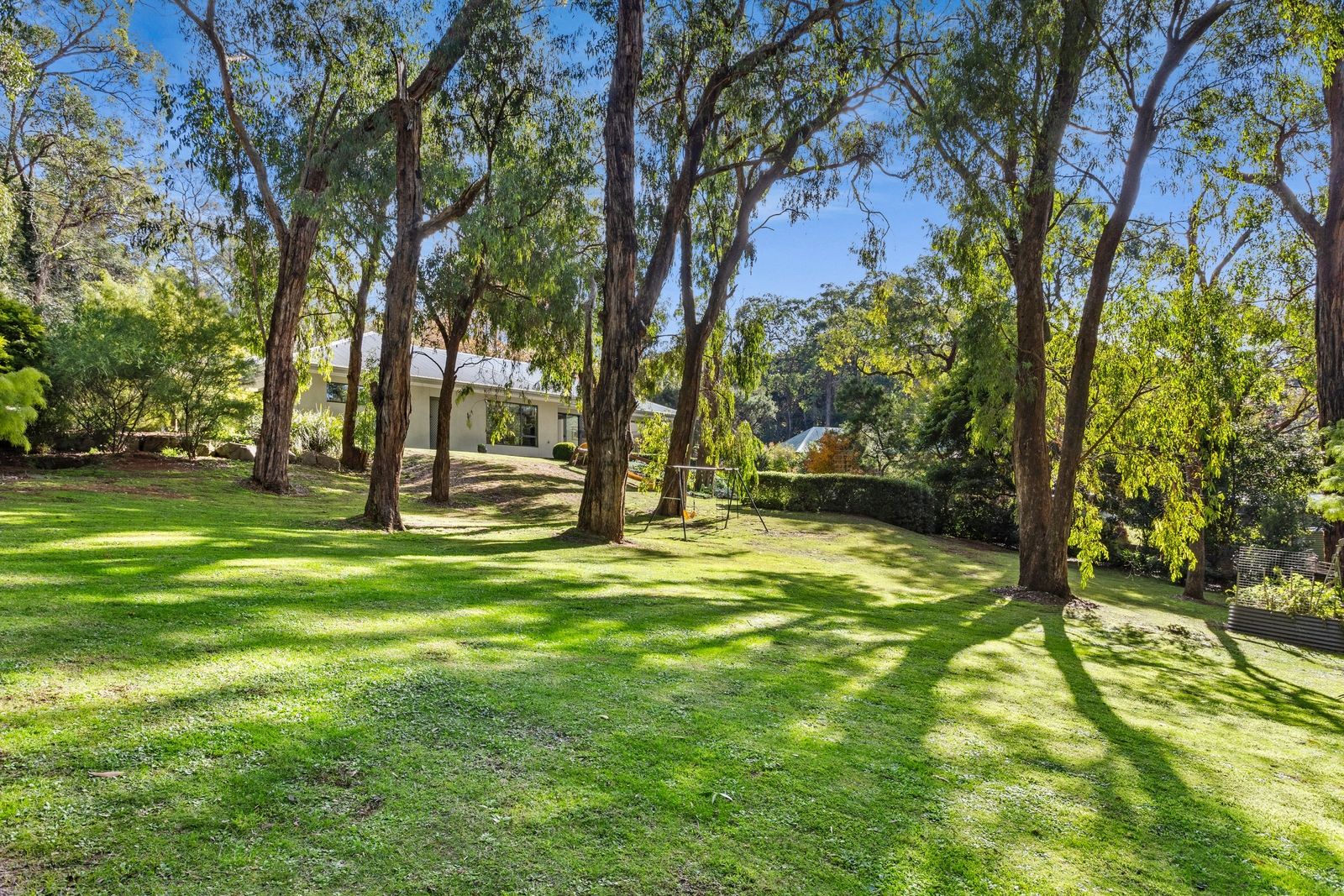 17 Thomas Road, Red Hill South VIC 3937, Image 0