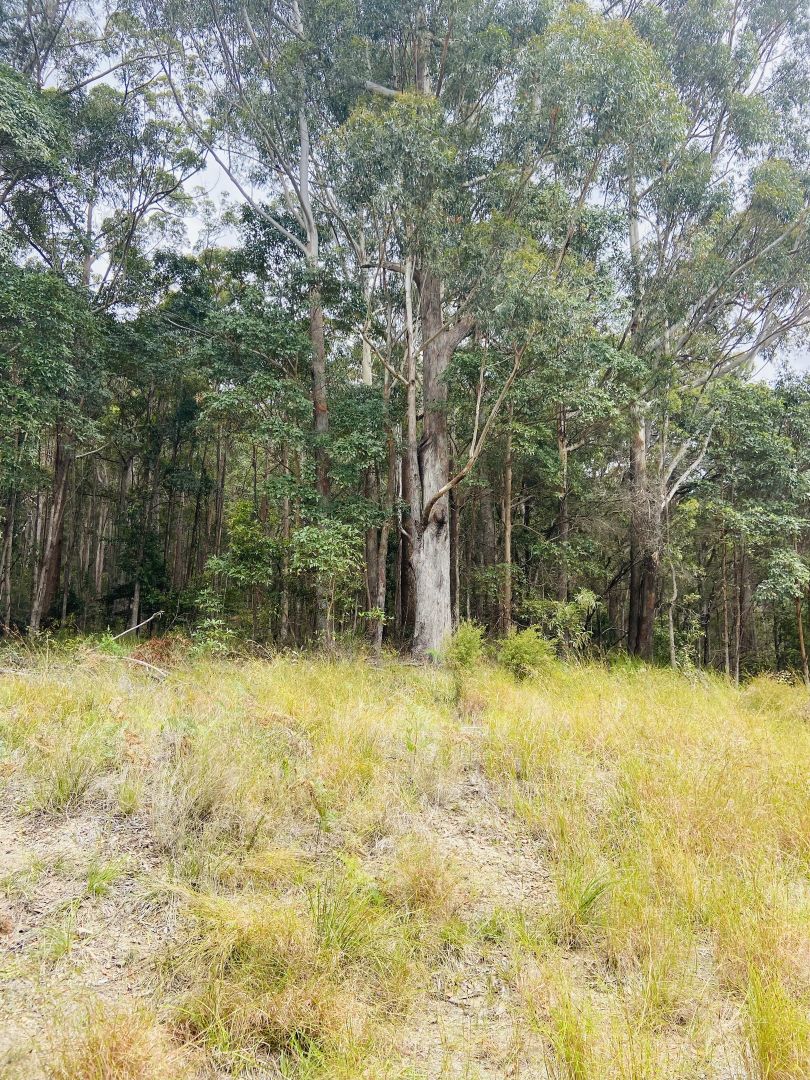 41 Kromes Road, North Arm QLD 4561 Vacant Land for Sale Domain