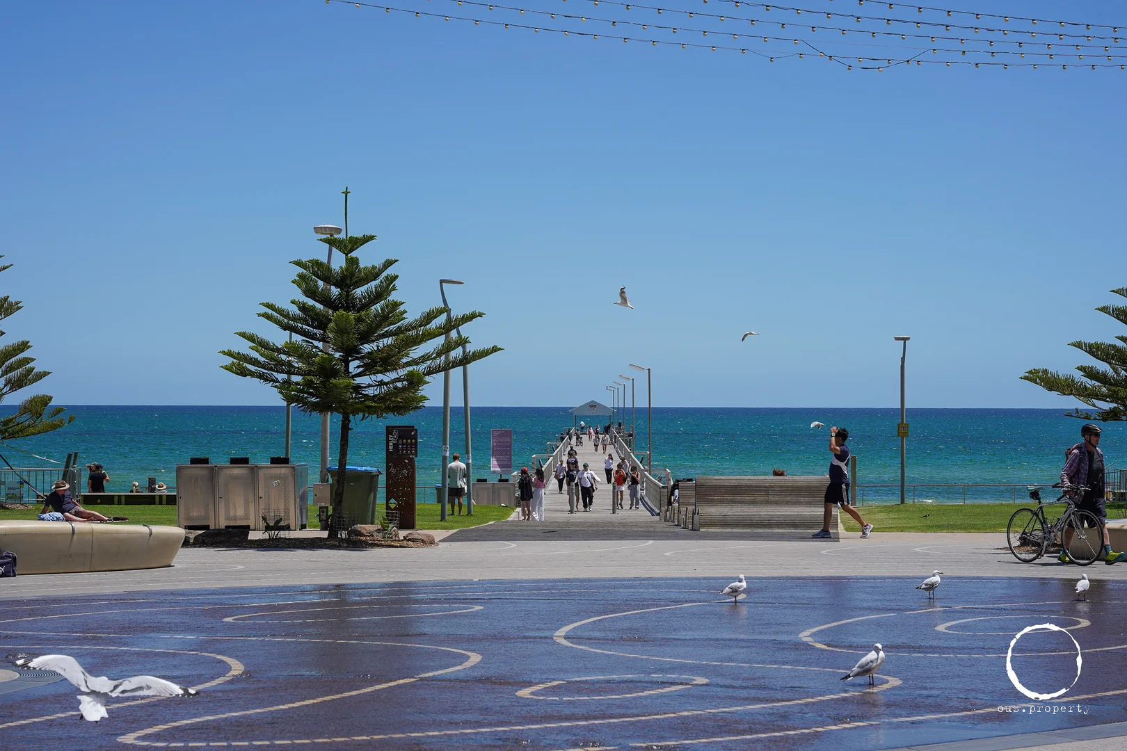 Additional image 28 of 12 Waldron Street, Henley Beach South SA 5022