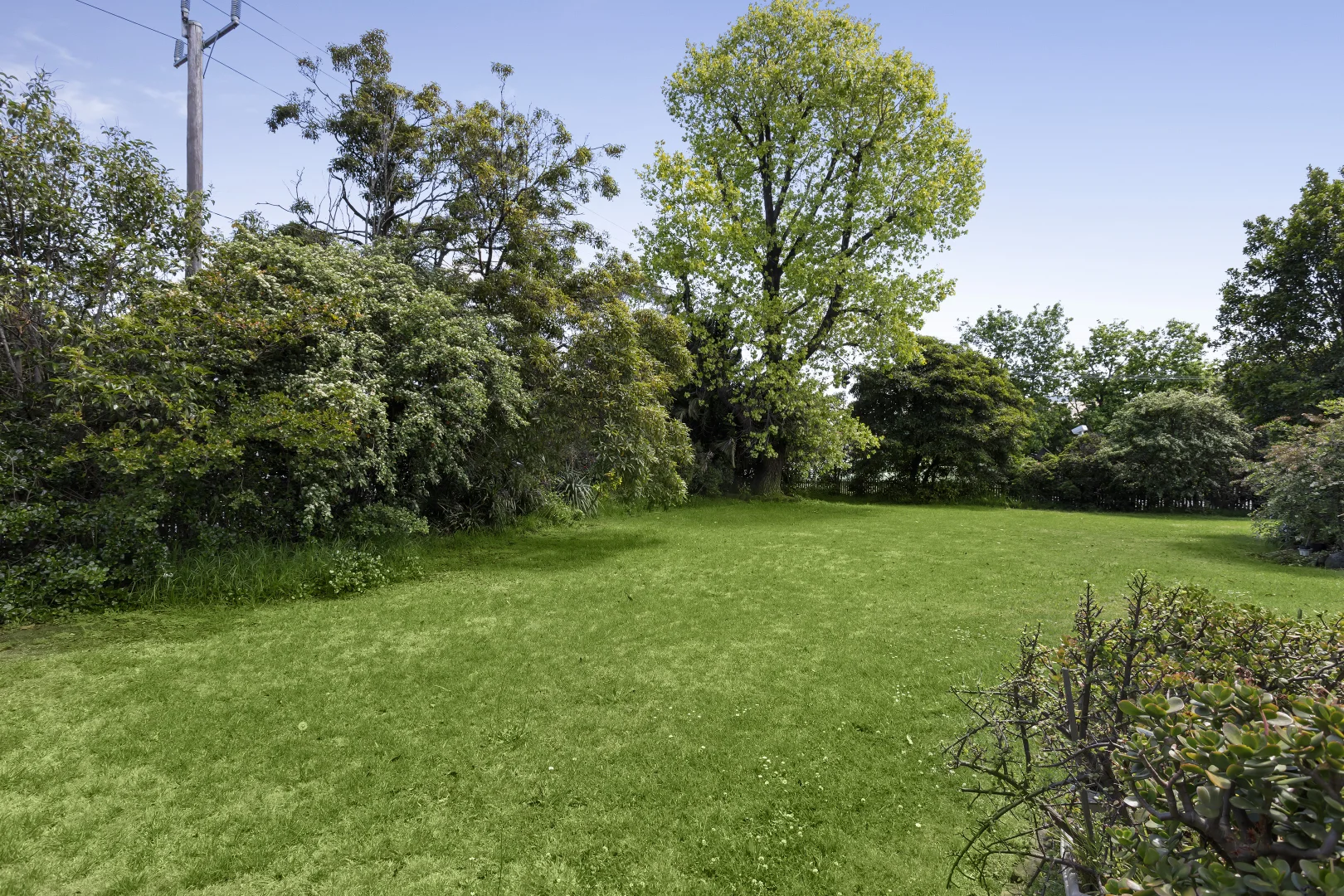 Image 29