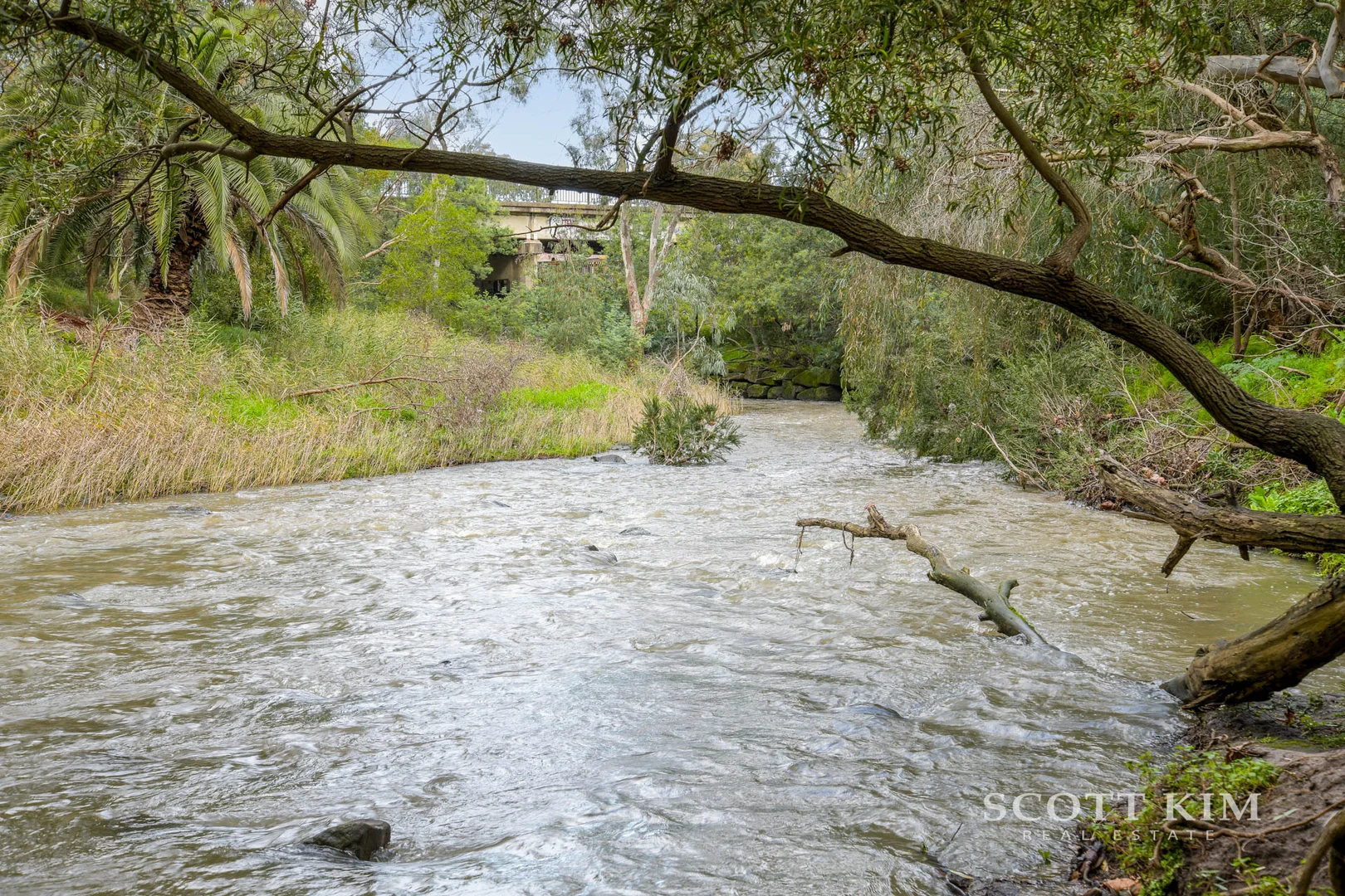 Image 14