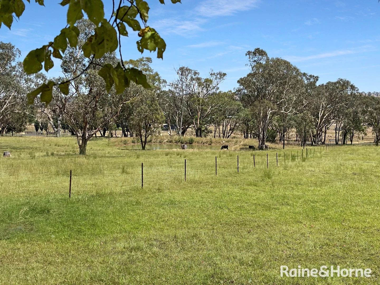 Additional image 18 of 210 Belmore Rd, Young NSW 2594