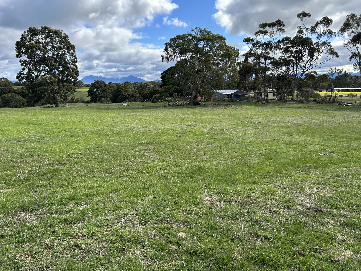 Image 20