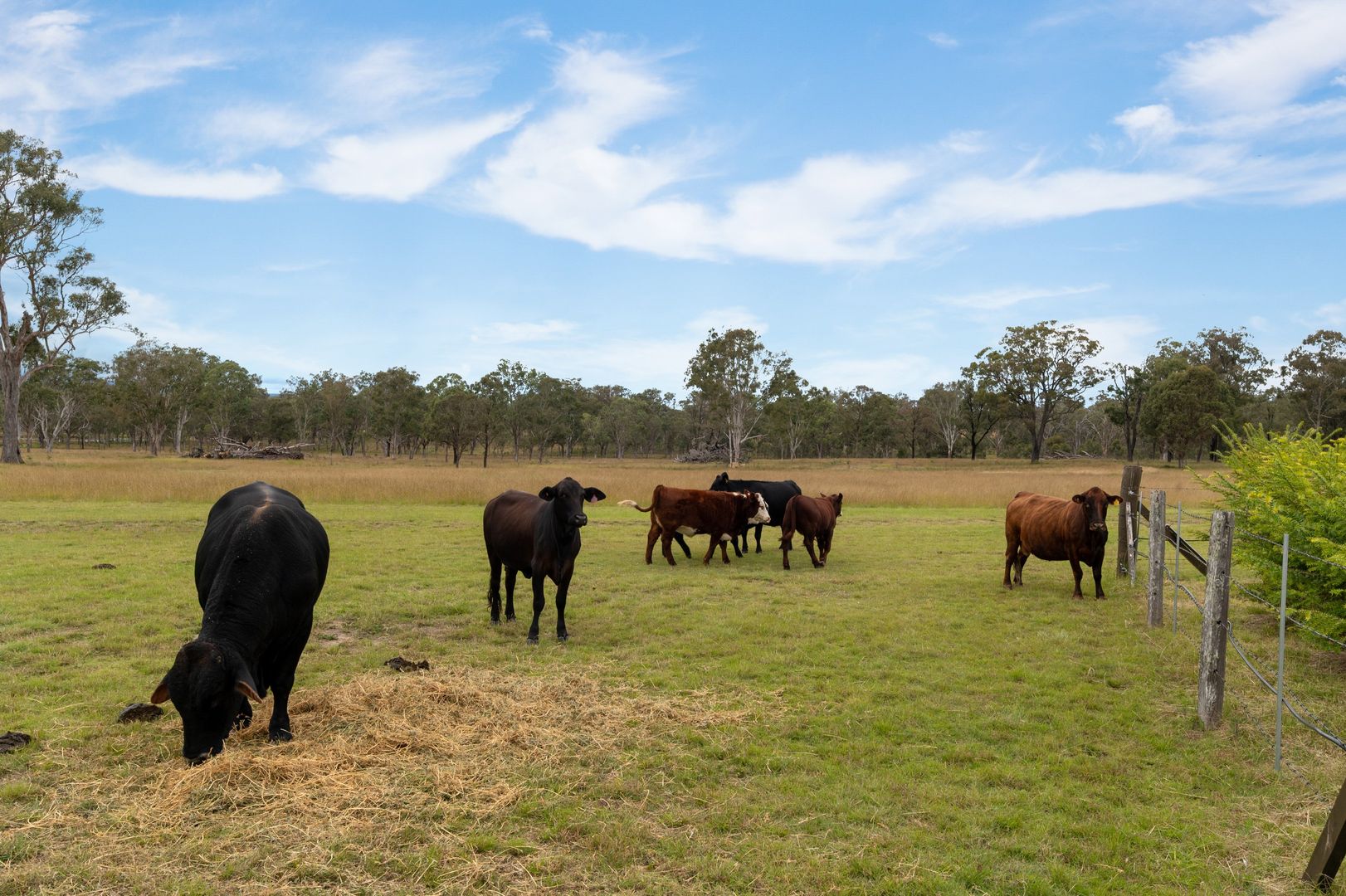 648 Derreen Road, Wildash QLD 4370, Image 1