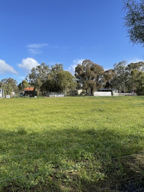 Lot 181 Clive Street, Spencers Brook WA 6401 Domain