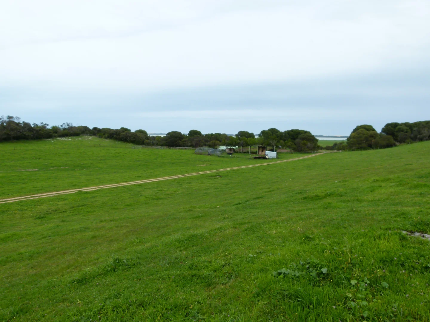 Image 11