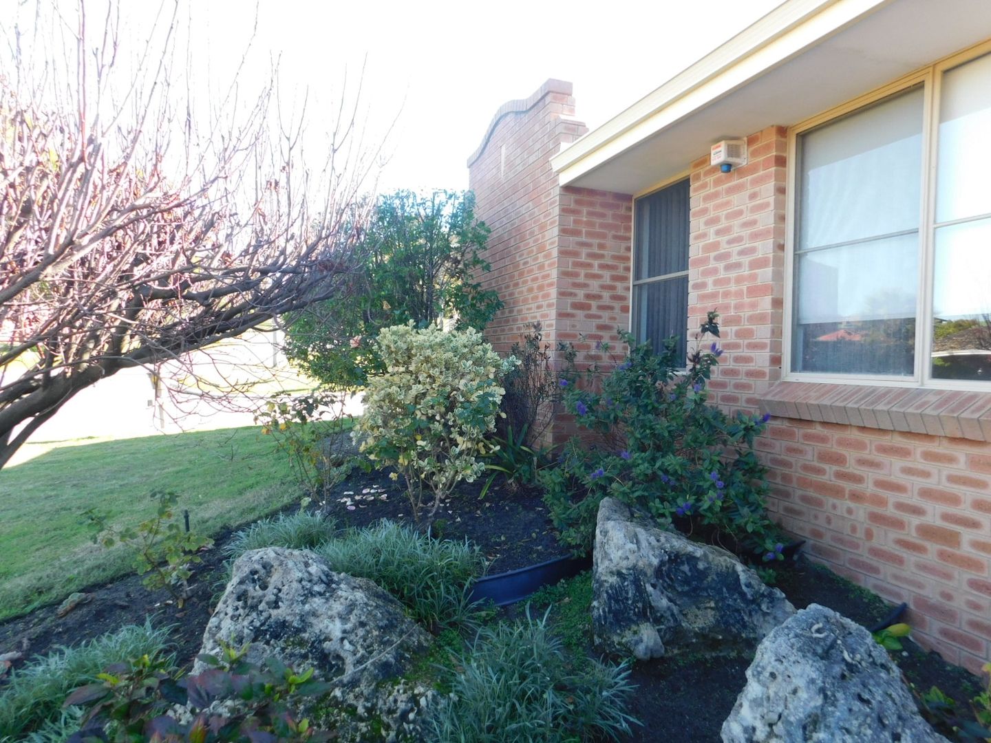 29 Eastland Street, Dianell Property History & Address Research Domain