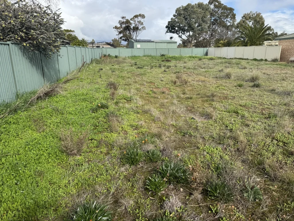 Image 10