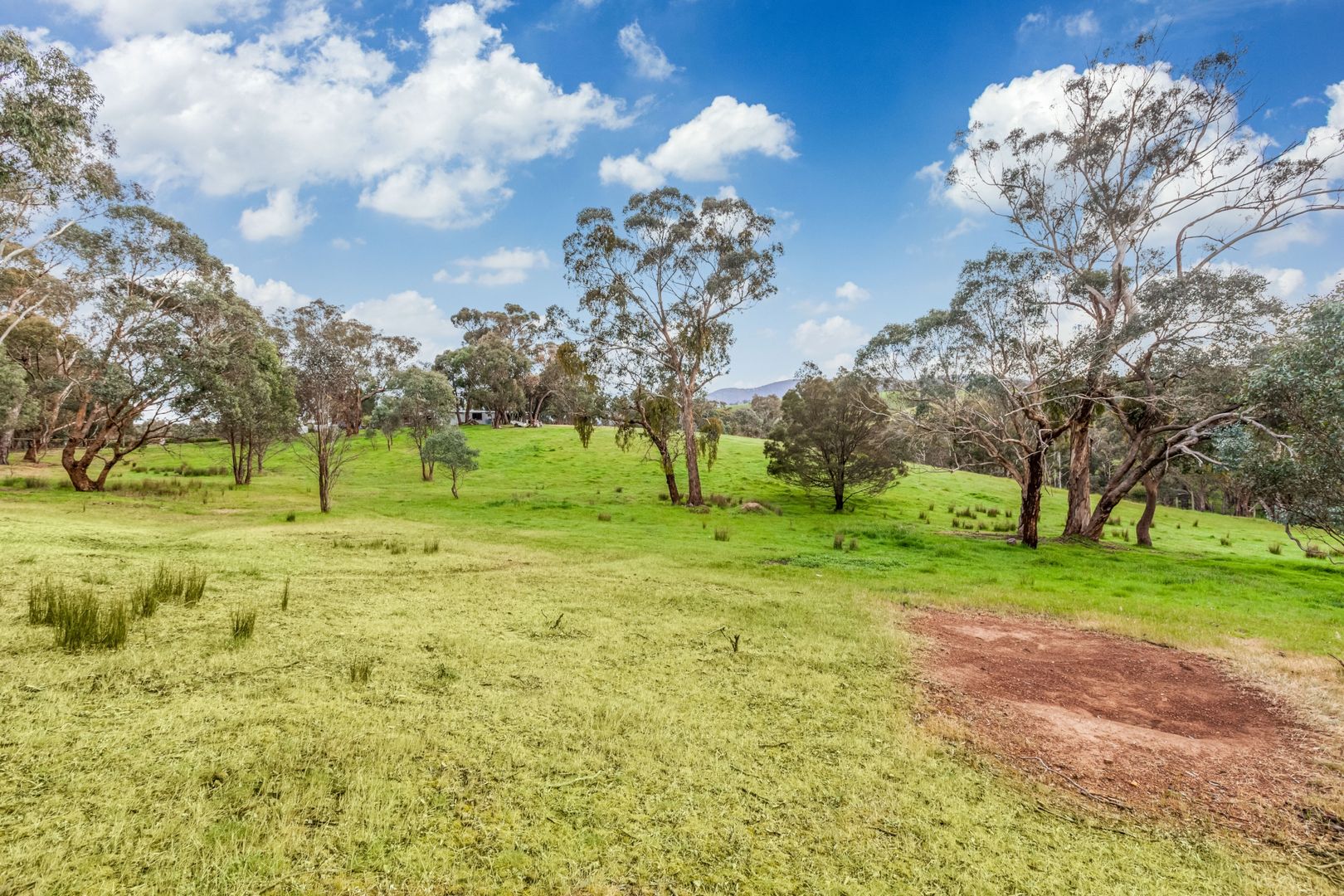 825 Strath Creek Road, Tyaak VIC 3658, Image 1