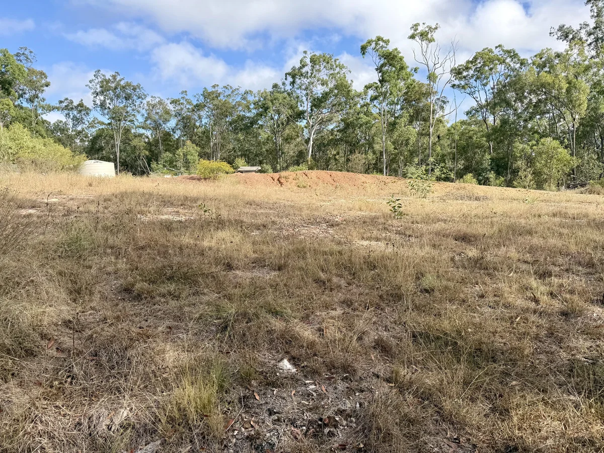 Image 13