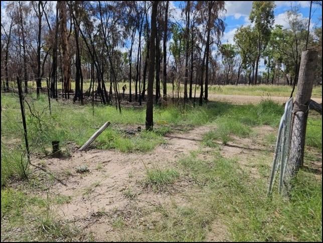 Vacant land in , MILLMERRAN DOWNS QLD, 4357