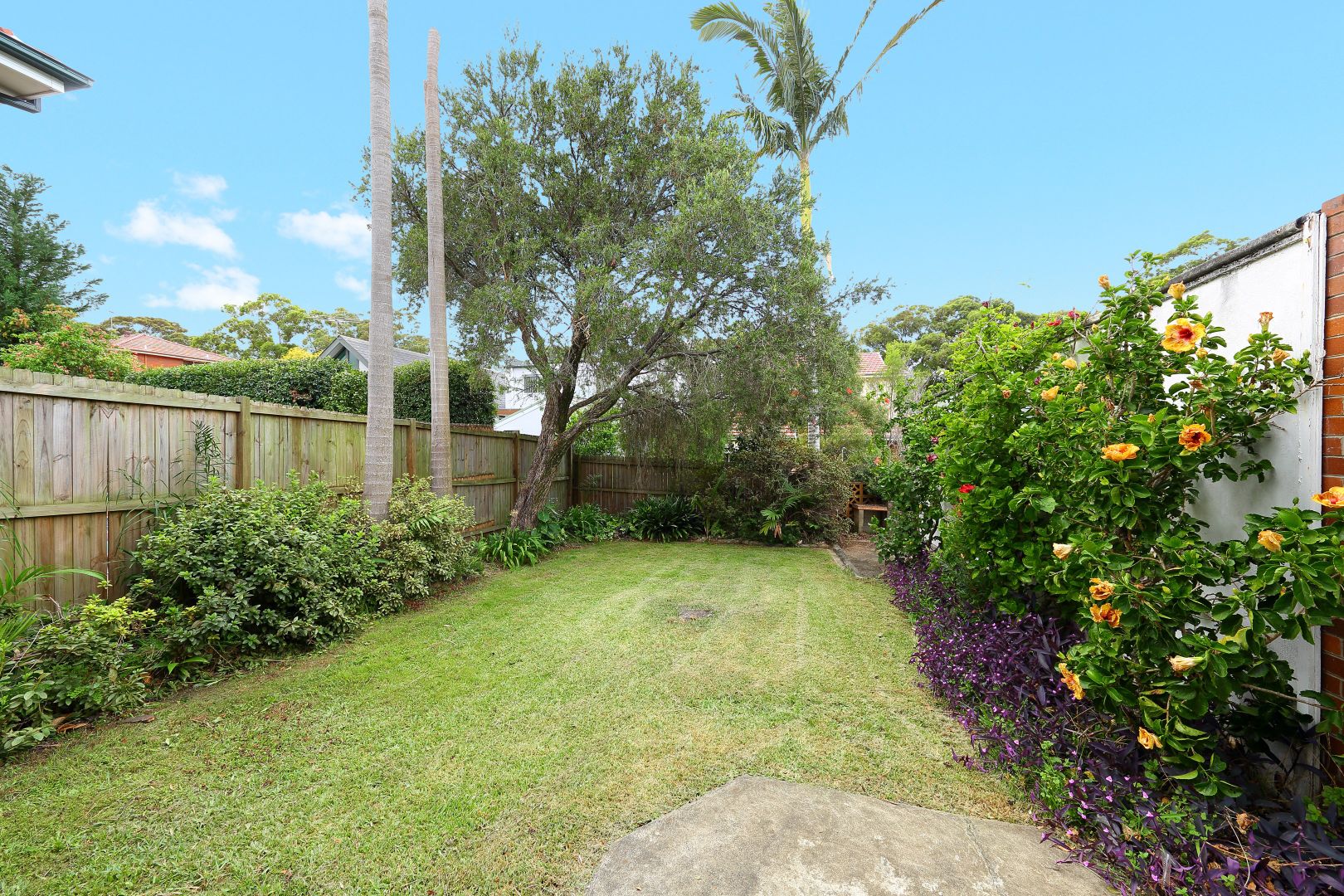 3 Grigg Street, Oatley NSW 2223, Image 1