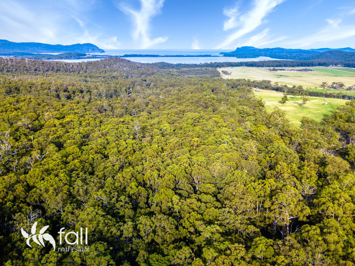 Lot 14/508 Lighthouse Road, South Bruny TAS 7150, Image 1