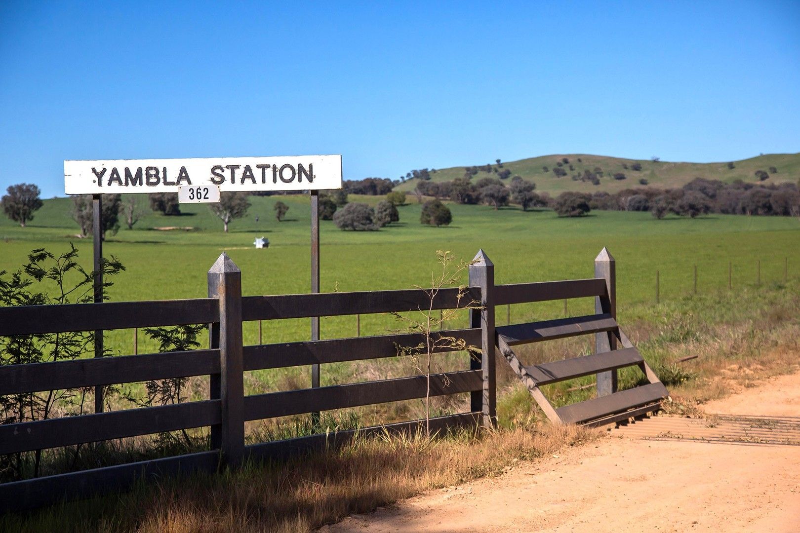 Yambla Road, Mountain Creek NSW 2644, Image 0