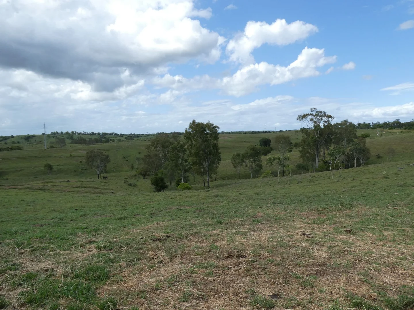 Image 14