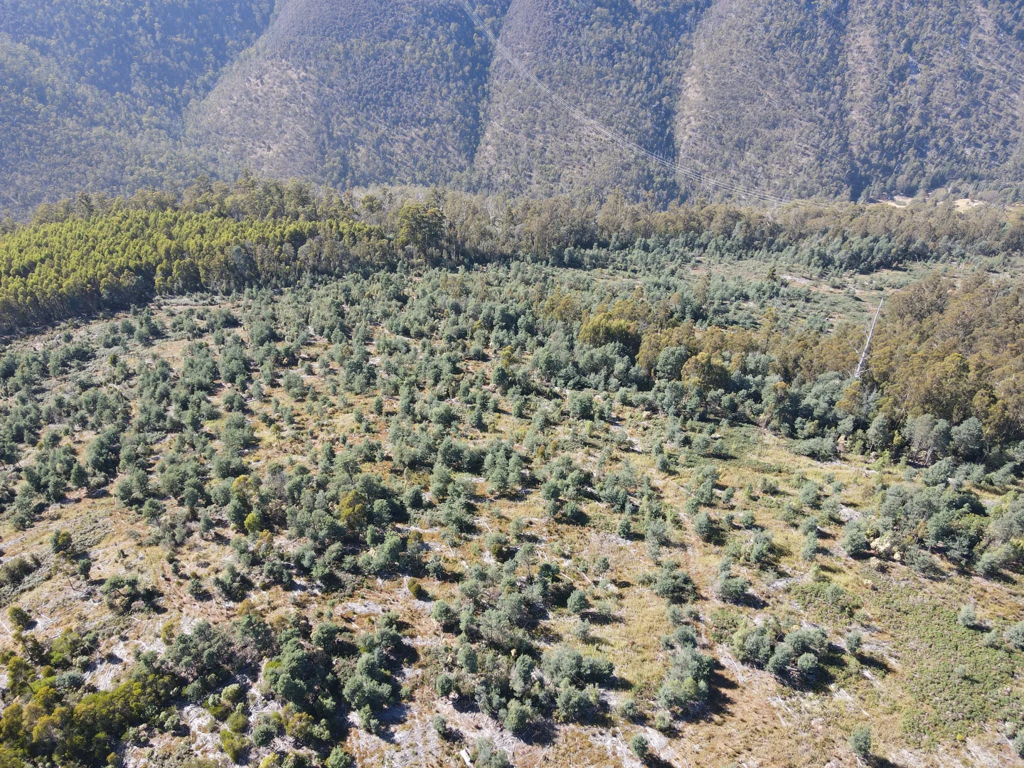 Additional image 6 of 164 Smiths Road, Moogara TAS 7140